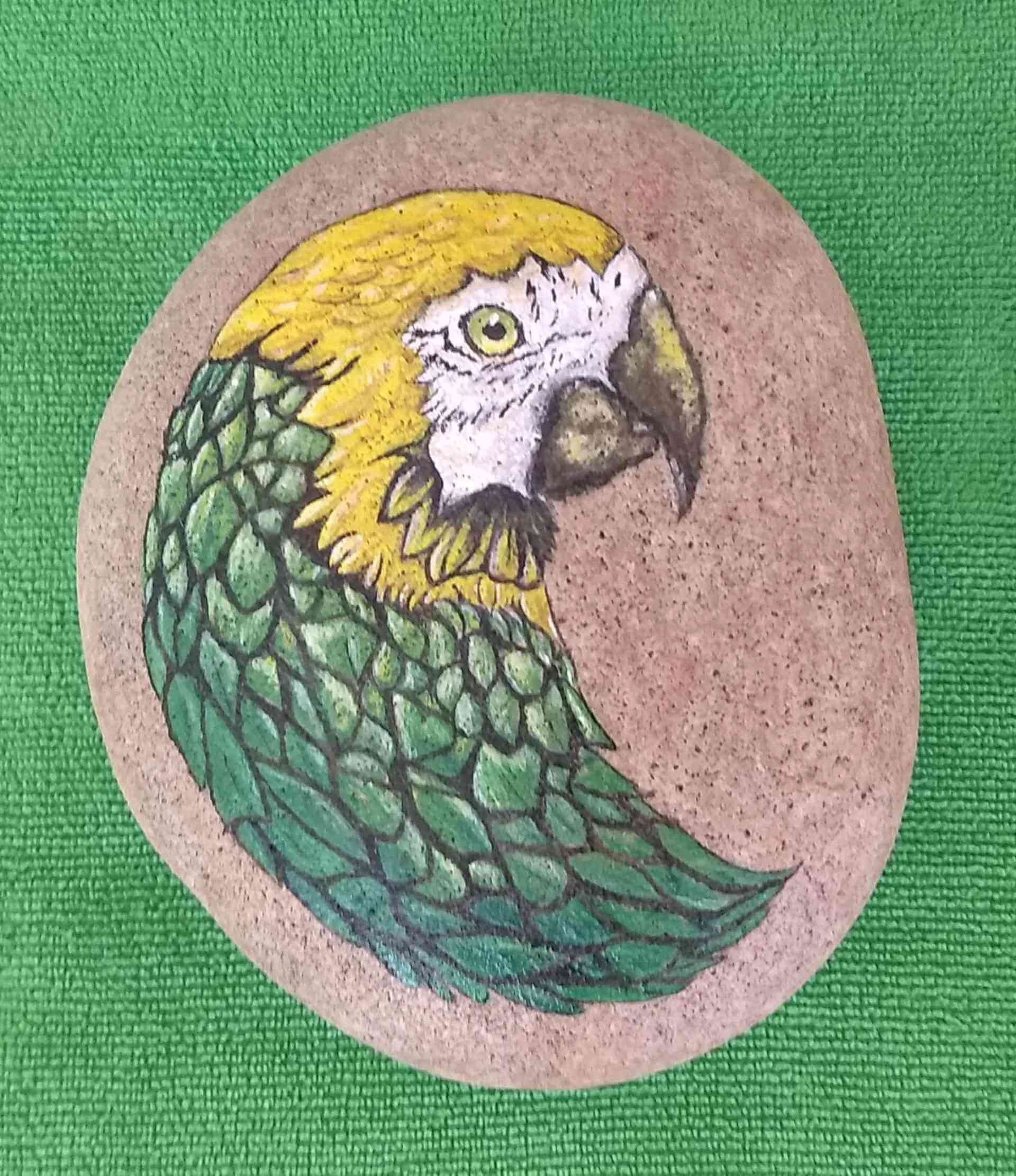 Parrot 5.75x5 Inch