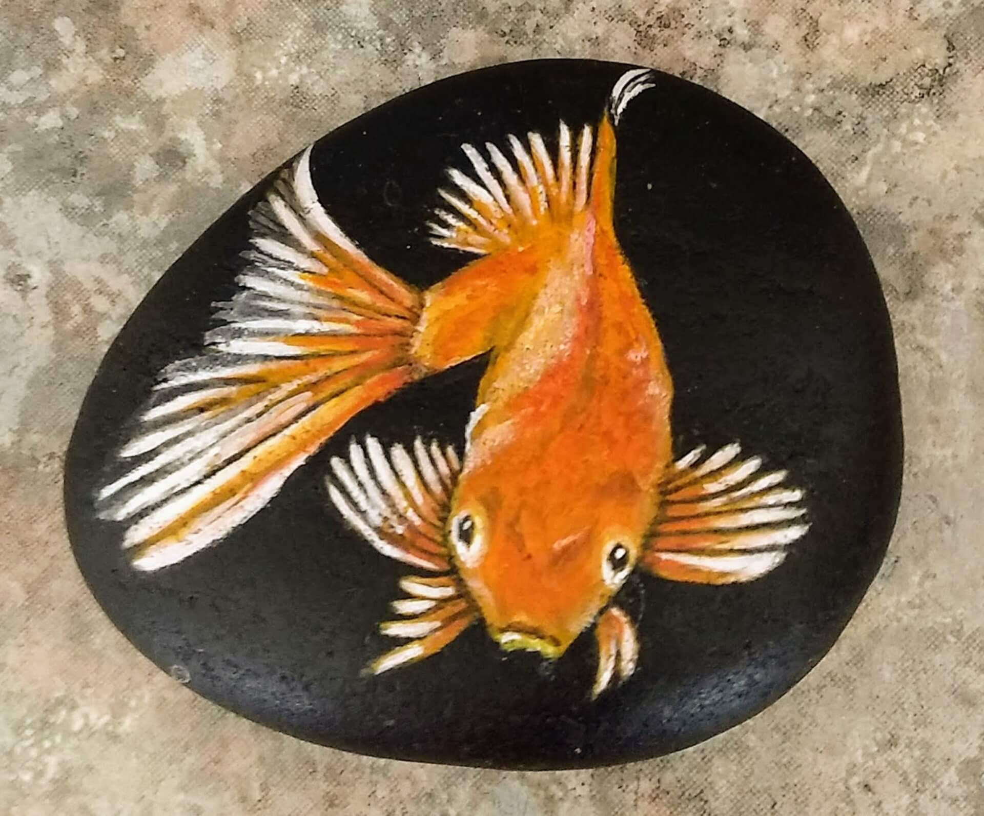 Goldfish 3.5x3.75 inch